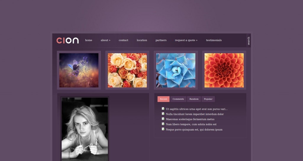 17-cion-theme-wordpress-blog